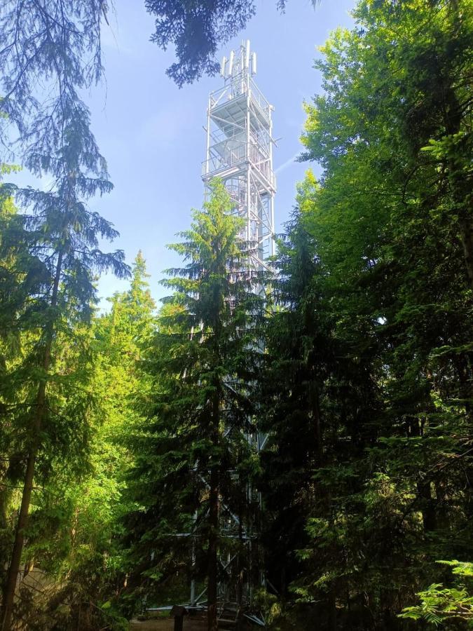 Apartament Kopretina Cerne Udoli Zewnętrze zdjęcie