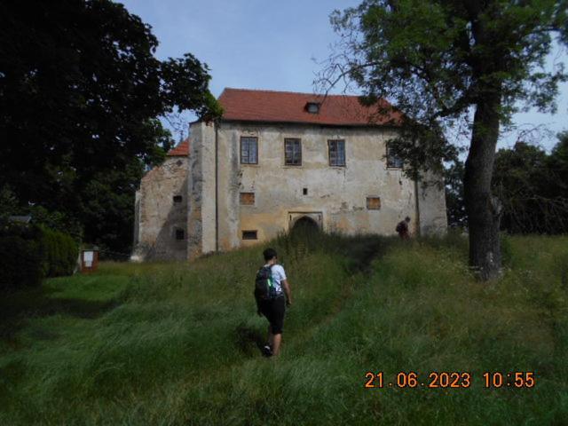 Apartament Kopretina Cerne Udoli Zewnętrze zdjęcie